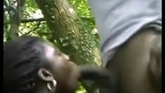 Svart Ebony Skjønnhet Får Rumpa Si Knullet Av En Stor Svart Kuk