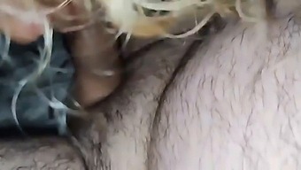 החזה הנחמד של השכן הלטיני שלי - בואו ותהנו